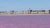 westliche Camargue und Aigues-Mortes (Provence) Süd-Frankreich
