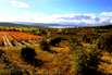 Provence-Urlaub im Herbst: