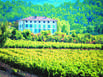 Weinreisen Provence