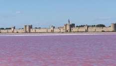 westliche Camargue und Aigues-Mortes (Provence) Süd-Frankreich
