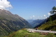 Biker Info Provence