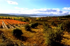 Herbstferien in der Provence