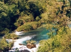Quellen der Provence - Fontaine-de-Vaucluse (Quelle der Sorgue, Sehenswürdigkeit)