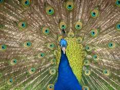 Tierparks, Zoos, Wildgehege der Provence Freizeitparks mit Adressen