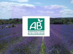 Bio-Produkte mit Lavendel