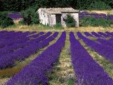 Wanderurlaub in der Provence
