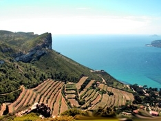 Weinanbau-Gebiet / Appellation Cotes de Provence AOC