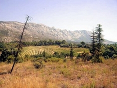 Weinanbau-Gebiet / Appellation Coteaux d'Aix-en-Provence (AOC)