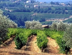 Rhone-Tal - Vallée du Rhône