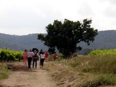 Weinrouten in Rhone-Alpes