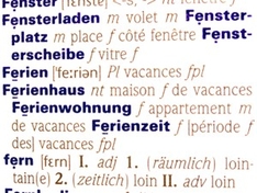 Wörterbuch französisch