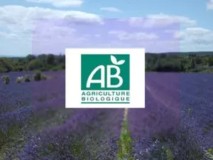 Bio-Produkte mit Lavendel