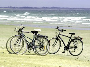 Provence-Urlaub mit Fahrrad