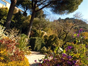 Park in Hyeres