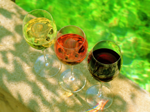 Weingüter in der Provence und Cote d'Azur